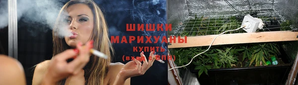 гашик Волосово