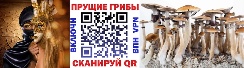 Псилоцибиновые грибы Magic Shrooms  как найти наркотики  Елец 