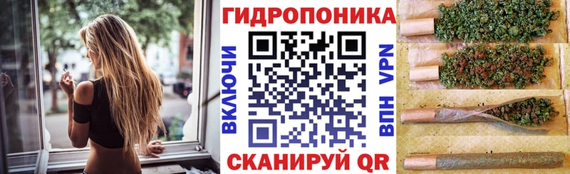 Бошки Шишки White Widow  как найти закладки  Елец 